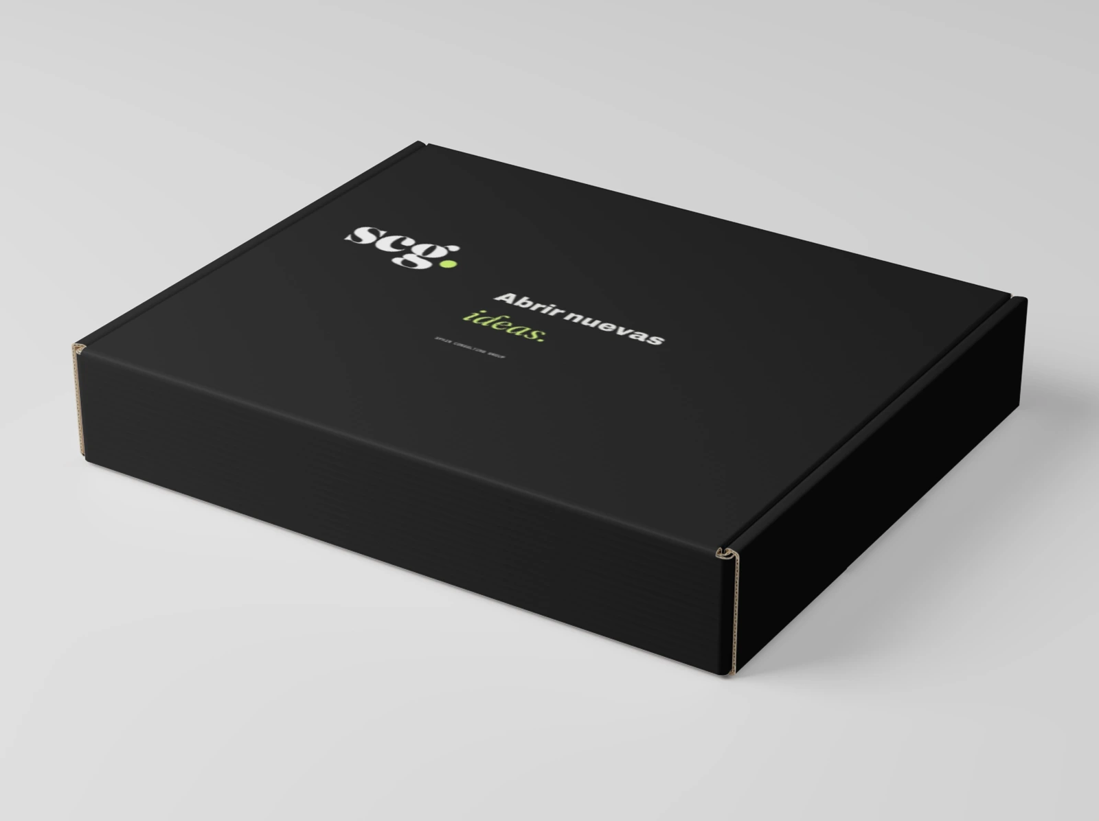 Versandboxen: Geschlossene Box mit SCG Design auf dem Deckel.
